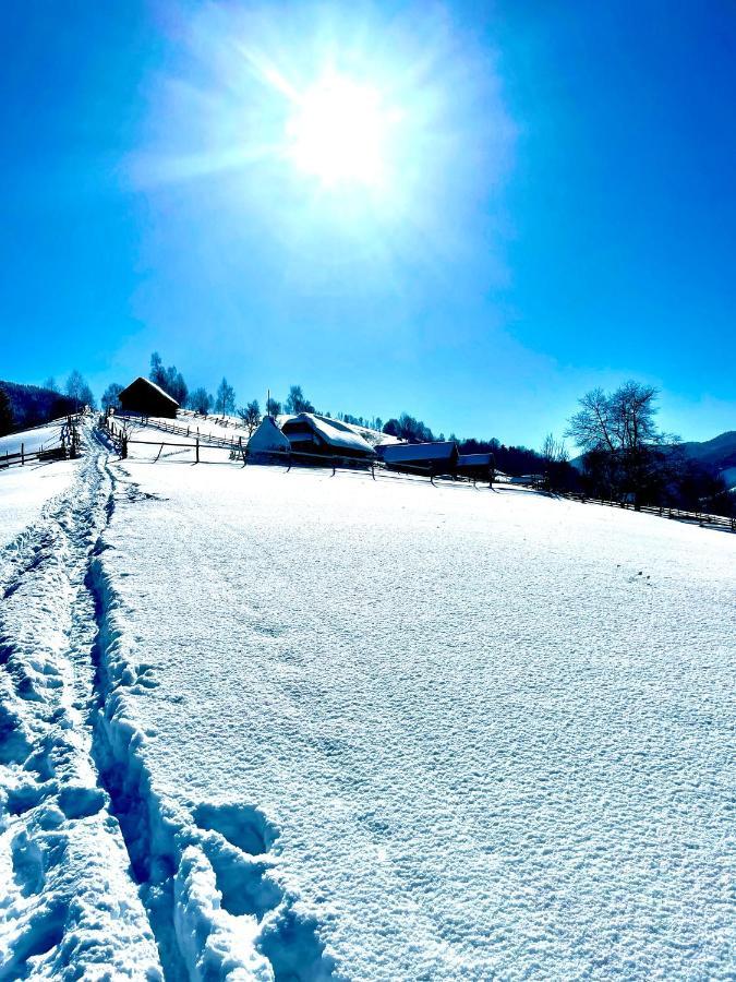Bran Place La Odaie Simon Exteriör bild