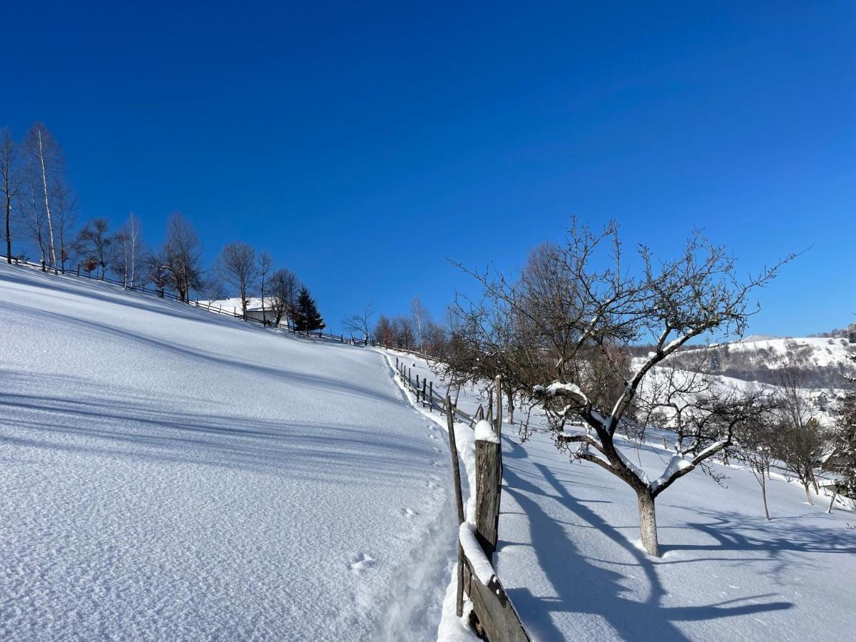 Bran Place La Odaie Simon Exteriör bild