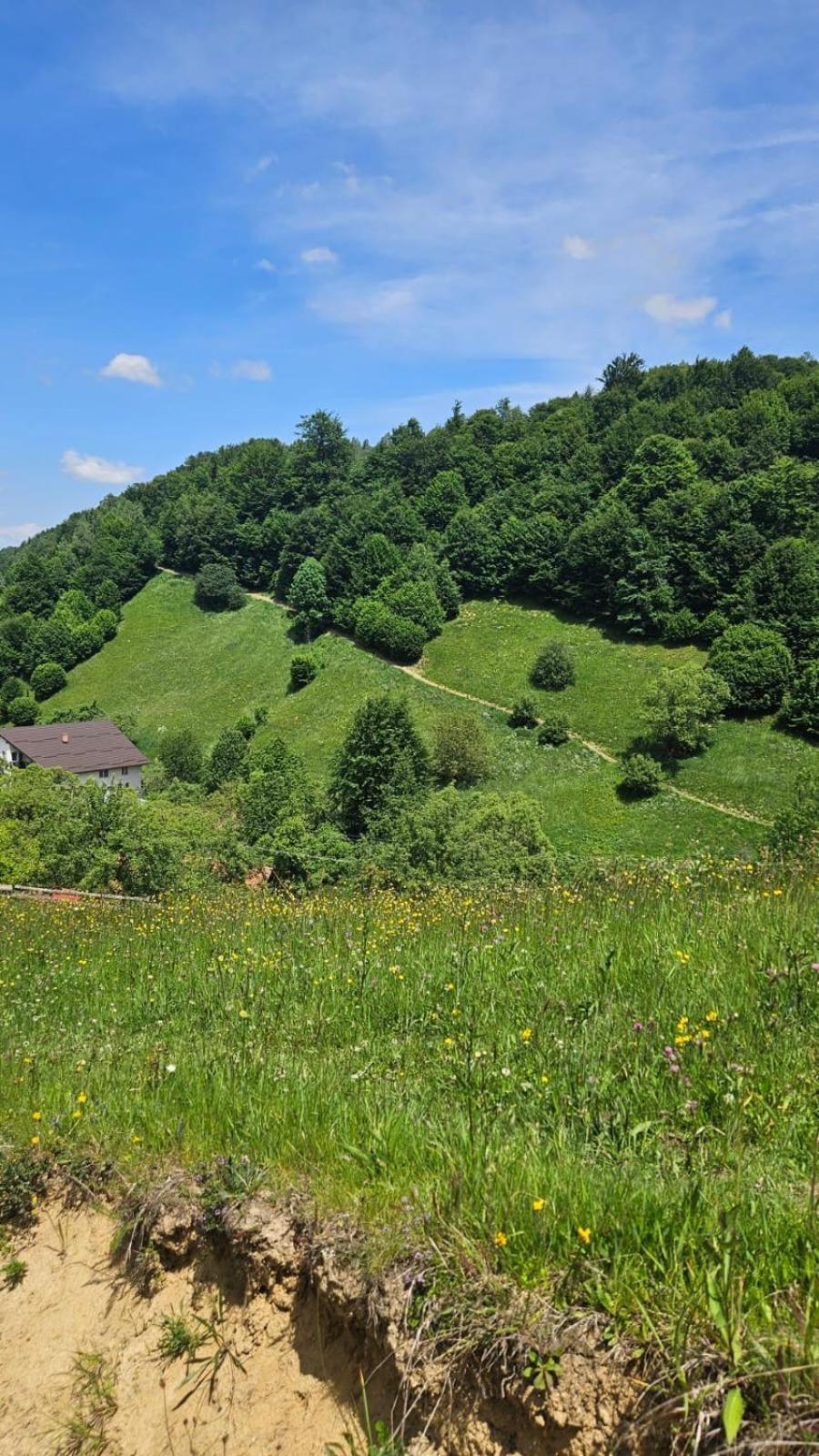 Bran Place La Odaie Simon Exteriör bild